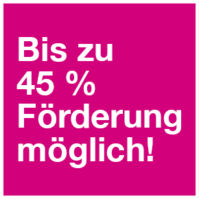 45-Prozent-Foerderung